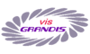 Логотип компанії ВІС ГРАНДІС